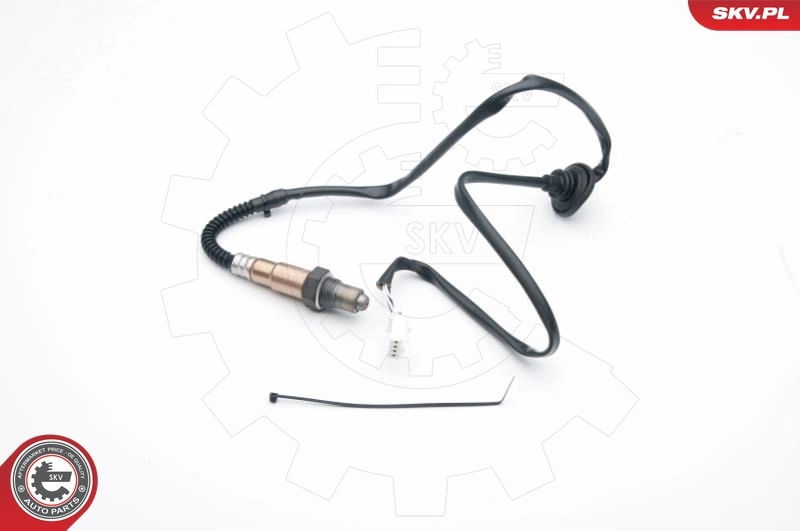 Oxygen Sensor